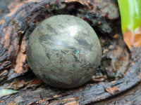 Polished Pharaoh Stone Spheres x 6 Zimbabwe