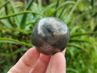 Polished Pharaoh Stone Spheres x 6 Zimbabwe