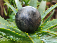 Polished Pharaoh Stone Spheres x 6 Zimbabwe