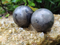 Polished Pharaoh Stone Spheres x 6 Zimbabwe