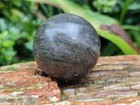 Polished Pharaoh Stone Spheres x 6 Zimbabwe