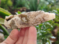 Natural Drusy Quartz Coated Calcite Pseudomorph Specimens x 12 From Alberts Mountain, Lesotho