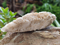 Natural Drusy Quartz Coated Calcite Pseudomorph Specimens x 12 From Alberts Mountain, Lesotho