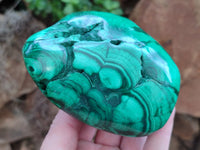 Polished Flower Banded Malachite Free Forms x 2 From Congo