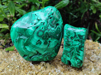 Polished Flower Banded Malachite Free Forms x 2 From Congo