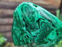 Polished Flower Banded Malachite Free Forms x 2 From Congo