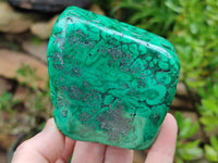 Polished Flower Banded Malachite Free Forms x 2 From Congo