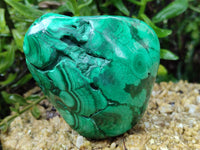 Polished Flower Banded Malachite Free Forms x 2 From Congo