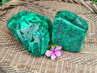 Polished Flower Banded Malachite Free Forms x 2 From Congo