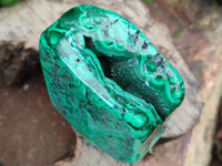 Polished Flower Banded Malachite Free Forms x 2 From Congo