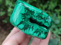 Polished Flower Banded Malachite Free Forms x 2 From Congo