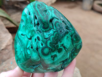 Polished Flower Banded Malachite Free Forms x 2 From Congo