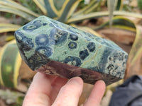 Polished Stromatolite Jasper Points x 2 From Katsepy, Madagascar