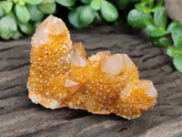 Natural Golden Solar Spirit Quartz Clusters x 6 From Boekenhouthoek, South Africa