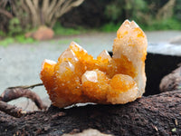 Natural Golden Solar Spirit Quartz Clusters x 6 From Boekenhouthoek, South Africa