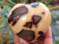 Polished Septerye Hearts x 6 From Mahajanga, Madagascar