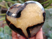 Polished Septerye Hearts x 6 From Mahajanga, Madagascar