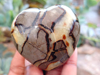 Polished Septerye Hearts x 6 From Mahajanga, Madagascar