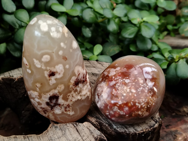 Polished Flower Agate Palm Stones x 12 From Madagascar