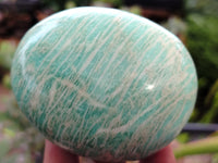 Polished Amazonite Free Forms x 12 From Madagascar