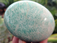 Polished Amazonite Free Forms x 12 From Madagascar