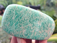 Polished Amazonite Free Forms x 12 From Madagascar