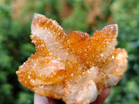 Natural Golden Solar Spirit Quartz Clusters x 12 From Boekenhouthoek, South Africa