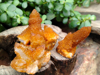 Natural Golden Solar Spirit Quartz Clusters x 12 From Boekenhouthoek, South Africa