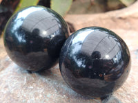 Polished Black Basalt Spheres x 5 From Madagascar