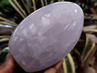 Polished Blue Rose Quartz Standing Free Forms x 2 From Madagascar