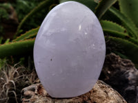 Polished Blue Rose Quartz Standing Free Forms x 2 From Madagascar