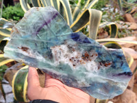 Polished Watermelon Fluorite Slices x 2 From Uis, Namibia