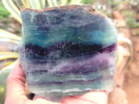 Polished Watermelon Fluorite Slices x 2 From Uis, Namibia