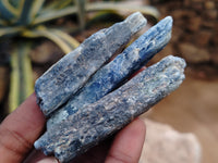 Natural Kyanite Crystals x 67 From Karoi, Zimbabwe