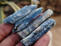 Natural Kyanite Crystals x 67 From Karoi, Zimbabwe