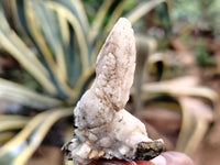 Natural Drusy Quartz Coated Calcite Pseudomorph Specimens x 35 From Alberts Mountain, Lesotho