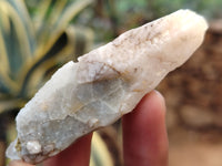 Natural Drusy Quartz Coated Calcite Pseudomorph Specimens x 35 From Alberts Mountain, Lesotho