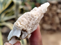 Natural Drusy Quartz Coated Calcite Pseudomorph Specimens x 35 From Alberts Mountain, Lesotho