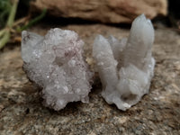 Natural Cactus Flower Spirit Quartz Clusters x 35 From South Africa