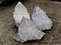 Natural Cactus Flower Spirit Quartz Clusters x 35 From South Africa