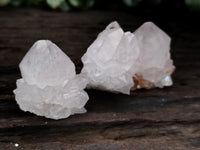 Natural Cactus Flower Spirit Quartz Clusters x 35 From South Africa