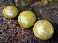 Polished Green Opal Palm Stones x 35 From Antsirabe, Madagascar