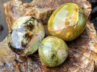 Polished Green Opal Palm Stones x 35 From Antsirabe, Madagascar