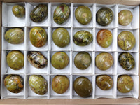 Polished Green Opal Palm Stones x 35 From Antsirabe, Madagascar