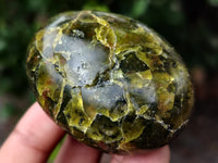 Polished Green Opal Palm Stones x 35 From Antsirabe, Madagascar