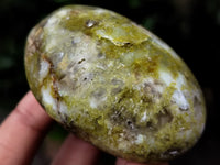 Polished Green Opal Palm Stones x 35 From Antsirabe, Madagascar