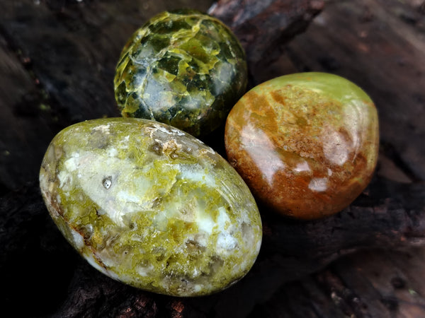 Polished Green Opal Palm Stones x 35 From Antsirabe, Madagascar