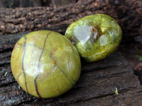 Polished Green Opal Palm Stones x 35 From Antsirabe, Madagascar