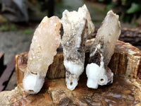 Natural Drusy Quartz Coated Calcite Pseudomorph Specimens x 24 From Alberts Mountain, Lesotho