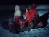 Natural Drusy Quartz Coated Calcite Pseudomorph Specimens x 24 From Alberts Mountain, Lesotho